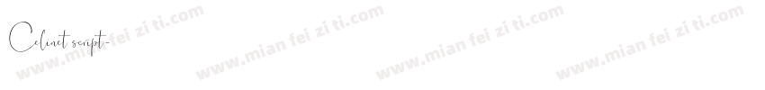 Celinet script字体转换
